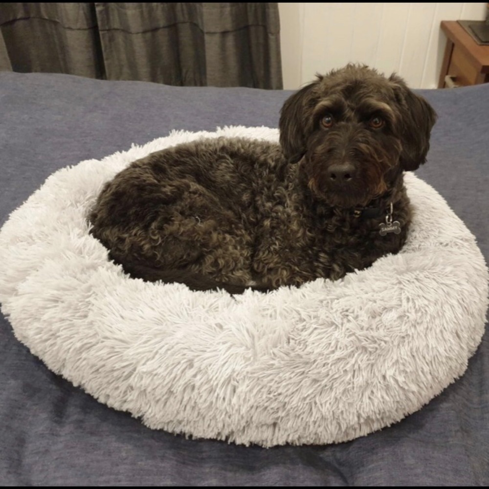 Comfy Calming Pet Bed